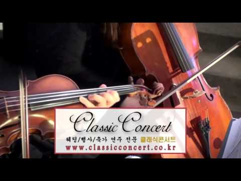 [결혼식연주 웨딩연주 클래식콘서트]  Java Jive 더케이호텔 식후연주 ♬