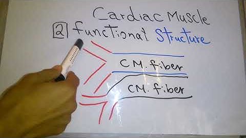 CVS new system (Cardiac muscle introduction part 1) dr mohamed fayez