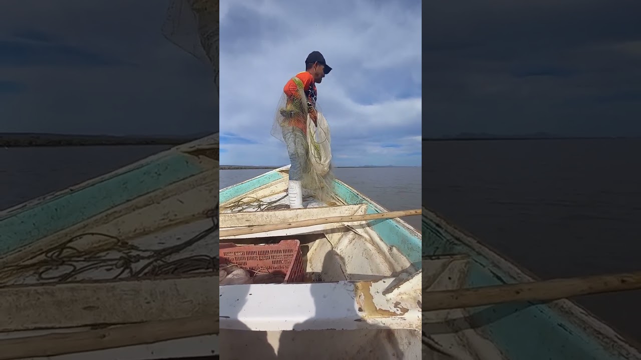 y listo mi tehuacan para tirar  la  tarraya!!