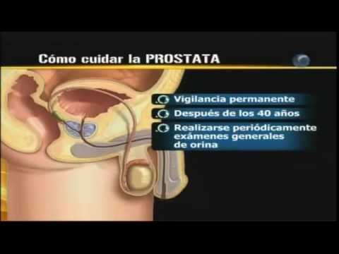 próstata y xatral