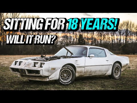 Video: Wat is die prys van 'n Trans Am?