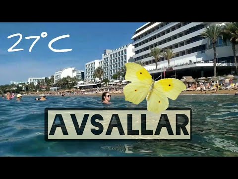 Avsallar. 2021.🌴💦 #2
