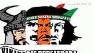 bonek viking