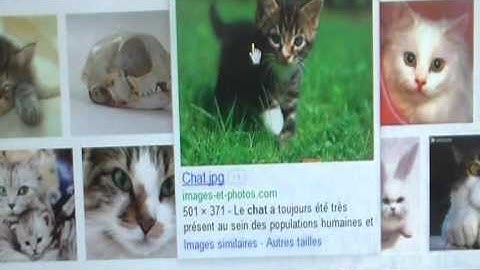 bbcode image grepolis