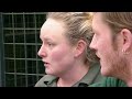 Animal Park: Season 6 Episode 10 (Wildlife Documentary) | Full Documentary