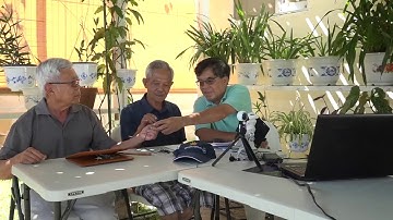 WSU 099 (2/26) - Dân tộc Việt nam không cần những cái  bánh vẽ Tự do