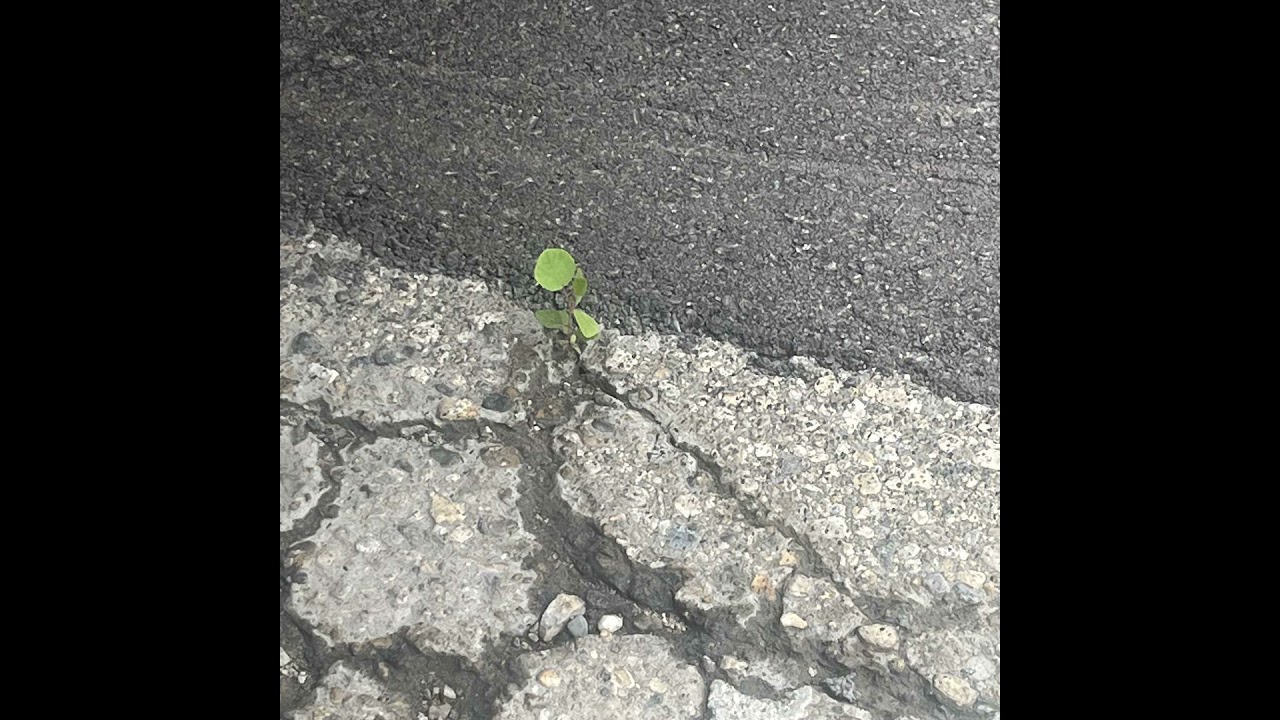 The Spirit of God is within you, there is Life, there go Change