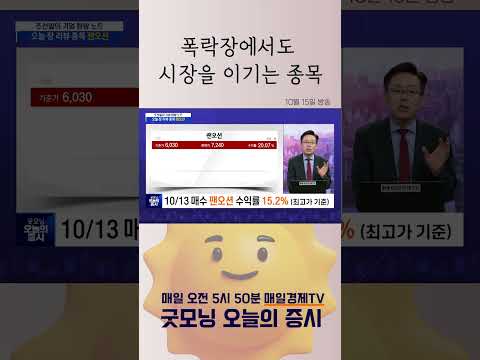 [굿모닝 오늘의 증시]  폭락장에서도 시장을 이기는 종목
