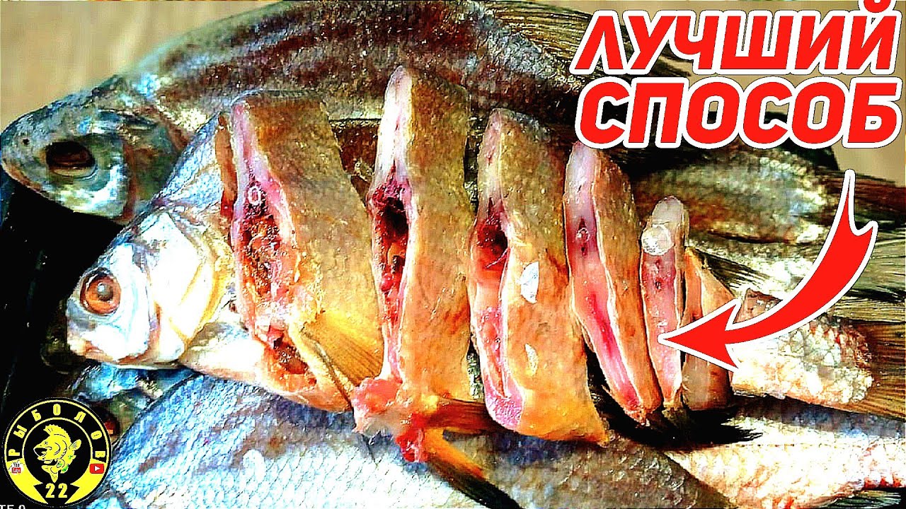 Как посолить рыбу. Лучший способ. Сухой посол рыбы. - YouTube