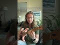 Guitar licks that sound like you’ve got somewhere to be