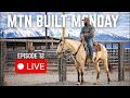Appaloosa VS Mustang Barrel Racing Showdown! (LIVE From The Rodeo Grounds)