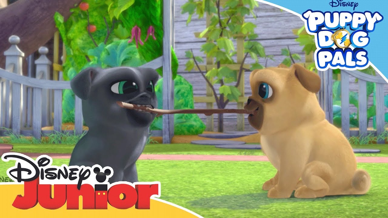 The Fetch Machine | Puppy Dog Pals | Official Disney Channel Africa ...