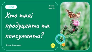 картинка: Хто такі продуценти і консументи?