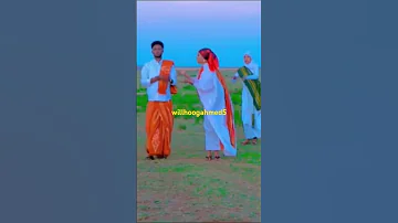 2025 CABDIWALI XASAN DHUUX FT MISKI JANO Duet Dhaanto 