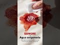 Cómo quitar manchas difíciles de la ropa con productos que ya tienes en casa #diy #cocina #hack