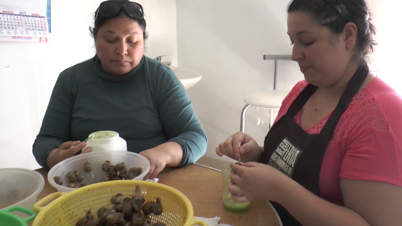 Reportaje Helicicultura