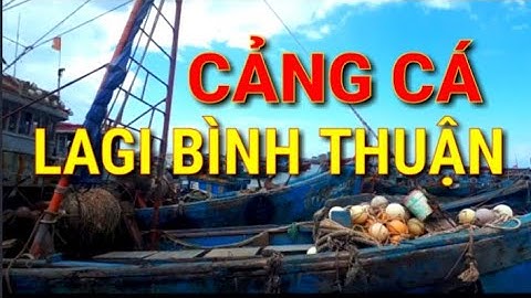💥CHỢ HẢI SẢN LAGI♦Tấp nập CẢNG CÁ LAGI Bình Thuận🔥Du lịch Lagi Bình Thuận Bãi biển Lagi Bình Thuận