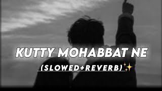 Lut gaye Kutty mohabbat ne [slowedreverb]