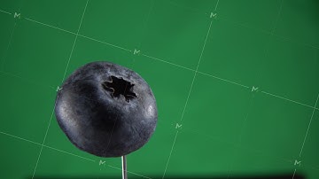 Blueberry rotating with loop on green screen for chroma key