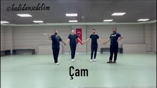 Hadi Dans Edelim - Çam