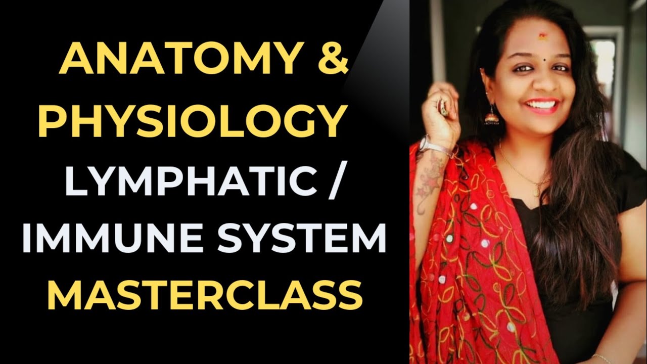 Lymphatic System Explained | Anatomy & Function | Medical Coding Interview Prep