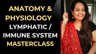 Lymphatic System Explained | Anatomy & Function | Medical Coding Interview Prep Wealth