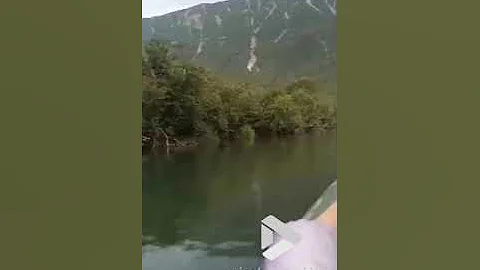 Grizzly bear chases after speed boat || Viral Video UK