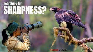 FOCUS on these 5 things to improve the SHARPNESS of your wildlife photos | Birding with Canon R5