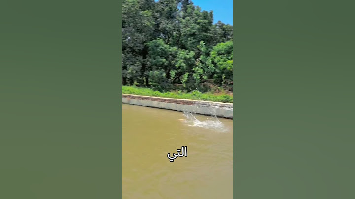 قطع مسافة مذهلة وصُدم بالنتيجة #shorts