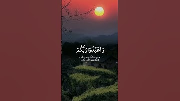 يا أيها الذين آمنوا اركعوا واسجدوا واعبدوا ربكم.. | بصوت المقرئ إسلام صبحي |  سورة الحج - الآية  77