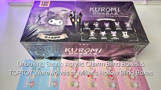 Unboxing Sanrio Acrylic Charm Blind Boxes & TOPTOY Werewolves Of Miller's Hollow Blind Boxes