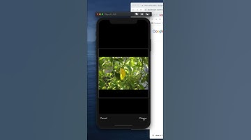 React Native Upload Image From Local Phone Demo