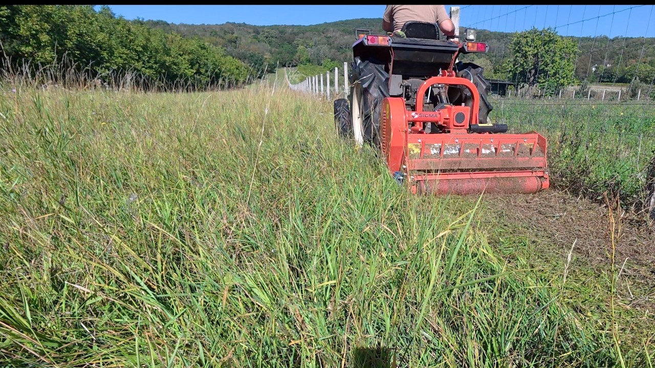 Zúzzunk le mindent is.......