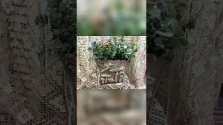 DIY Cement Planter: Fun Effects & Fairy Garden Ideas! #shorts
It’s so fun experimenting with new products and effects to see what you love. This project features a cement look planter created with layered texture and finishes. A perfect base for creative DIY decor, and I will be turning it into a fairy garden soon for an added whimsical touch.
Website
https://rehatcheddesigns.com/
#DIYHomeDecor #CreativeProcess #CementLook #FairyGarden DIY Cement Planter: Fun Effects & Fairy Garden Ideas! #shorts