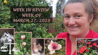 Week in Review: Week of March 27, 2023