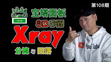 （首发）新翻墙协议的新应用！Xray+宝塔面板！网页、4K视频秒开，安装WordPress博客让你生产环境的VPS发挥最大的用途！——强大的Xray回落教程第二篇