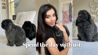 Spend the day with me & my bunnies(: | New car, petsmart, & more by Dumbo and Bear 1,673 views 1 year ago 6 minutes, 4 seconds