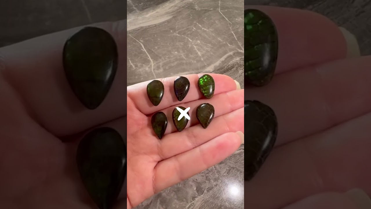 Which Ammolite would you choose? 