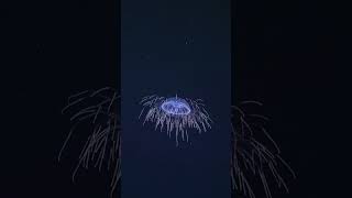 A space-age laser for science! #designingthefuture3 #midwater