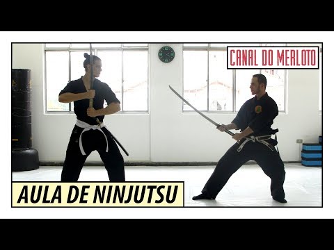 Vídeo: Como Aprender A Arte Do Ninja