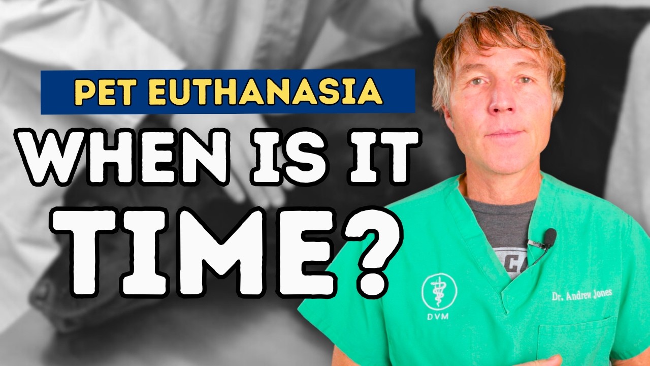 End-of-Life Decisions: Dr. Andrew Jones' Guide to Recognizing the Right Time for Pet Euthanasia