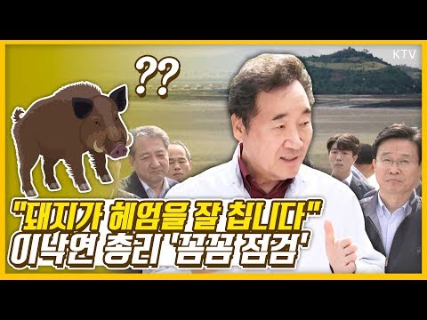 ''치사율 100%'' 아프리카돼지열병 한반도 상륙! 이낙연 총리, 접경지역 차단방역 긴급점검