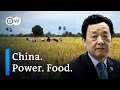 Chinas grab for the uns food and agriculture organization  dw documentary