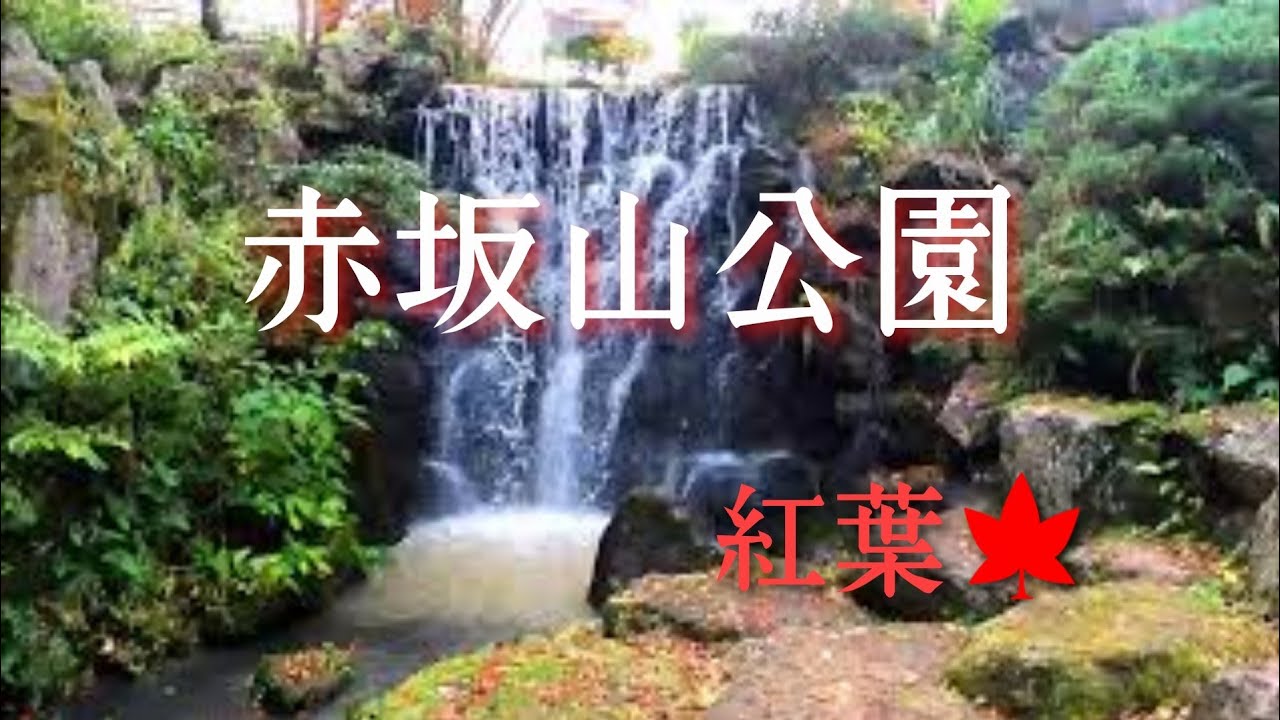 赤坂山公園と松雲山荘の紅葉 赤坂山公園編 Youtube