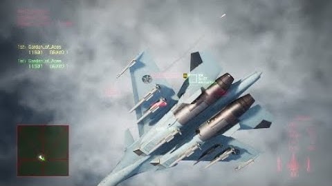 ACE COMBAT 7 1v1 -Su-30SM vs Su-57-