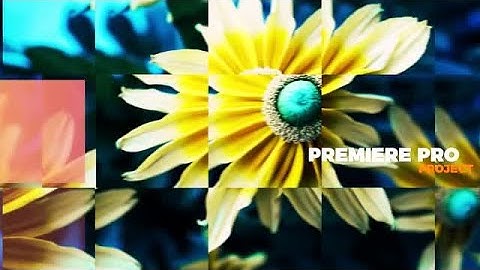 Upbeat Opener/Slideshow Premiere Pro Templates