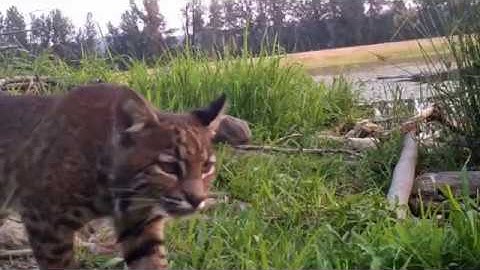 Assignment 1: Introduction