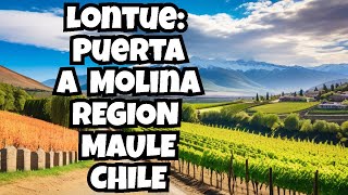 Lontue puerta a Molina región de Chile @naturalezas7