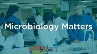 Microbiology Matters  | University of Surrey