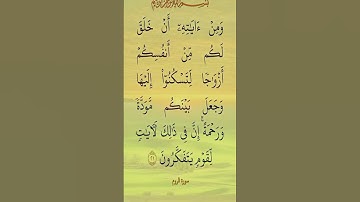 ومن آياته ان خلق لكم من أنفسكم أزواجا #دويتو #الرحمن #اكسبلور